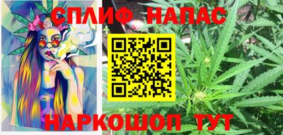 jwh Кингисепп