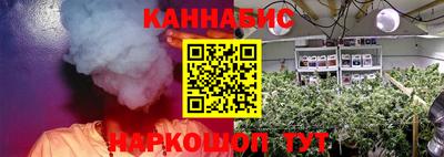 гашик Кинель