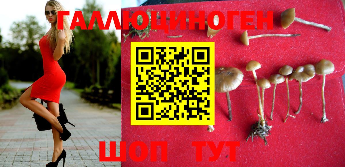 Псилоцибиновые грибы GOLDEN TEACHER  Вход с VPN  Благовещенск 